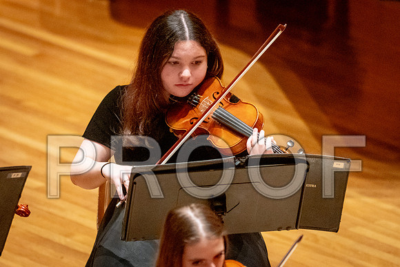 2024 University of Illinois High School Orchestra ClinicFebruary 24, 2024