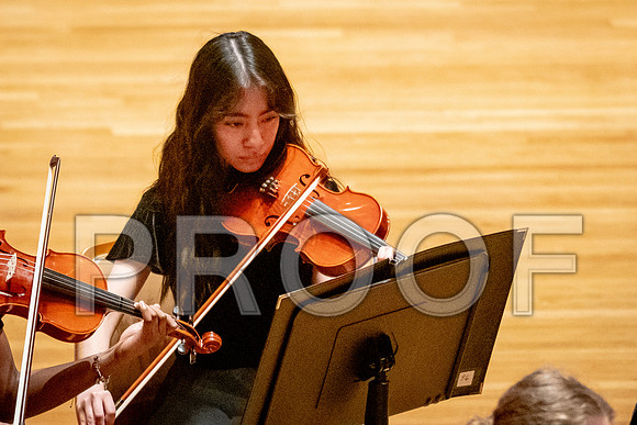 2024 University of Illinois High School Orchestra ClinicFebruary 24, 2024
