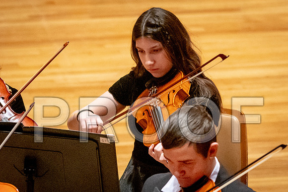 2024 University of Illinois High School Orchestra ClinicFebruary 24, 2024
