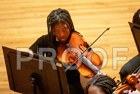 2024 University of Illinois High School Orchestra ClinicFebruary 24, 2024