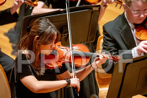 2024 University of Illinois High School Orchestra ClinicFebruary 24, 2024