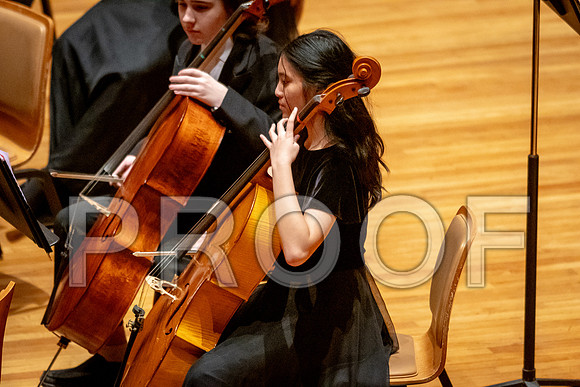 2024 University of Illinois High School Orchestra ClinicFebruary 24, 2024