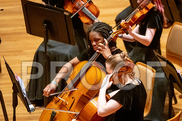 2024 University of Illinois High School Orchestra ClinicFebruary 24, 2024