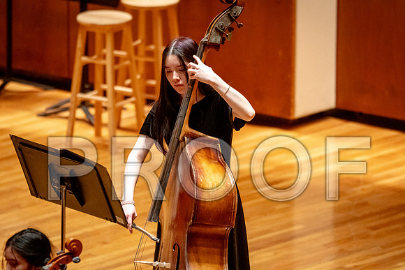 2024 University of Illinois High School Orchestra ClinicFebruary 24, 2024