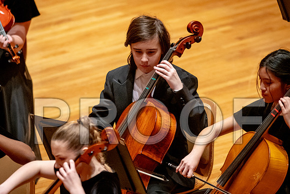 2024 University of Illinois High School Orchestra ClinicFebruary 24, 2024