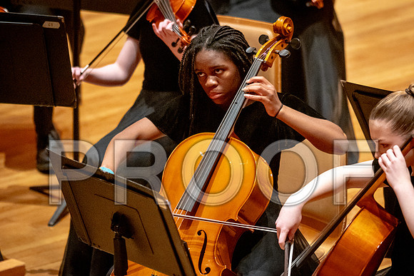 2024 University of Illinois High School Orchestra ClinicFebruary 24, 2024