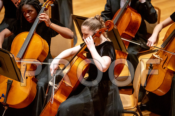 2024 University of Illinois High School Orchestra ClinicFebruary 24, 2024