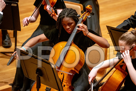 2024 University of Illinois High School Orchestra ClinicFebruary 24, 2024