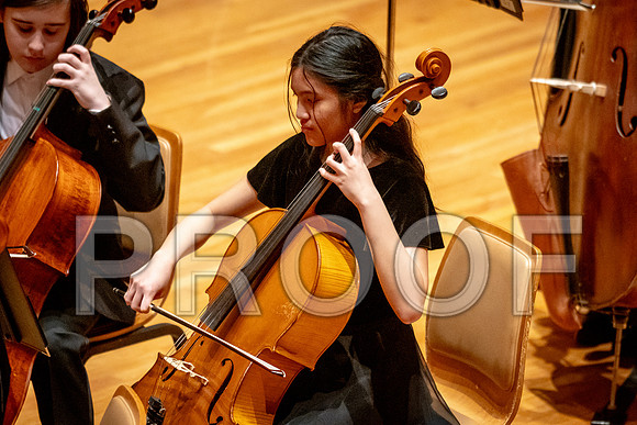 2024 University of Illinois High School Orchestra ClinicFebruary 24, 2024