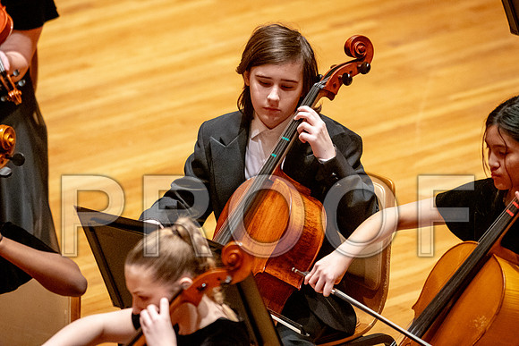 2024 University of Illinois High School Orchestra ClinicFebruary 24, 2024