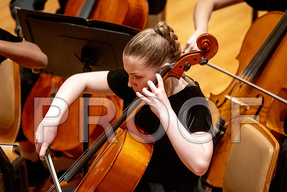 2024 University of Illinois High School Orchestra ClinicFebruary 24, 2024