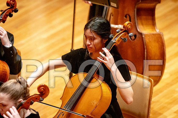 2024 University of Illinois High School Orchestra ClinicFebruary 24, 2024