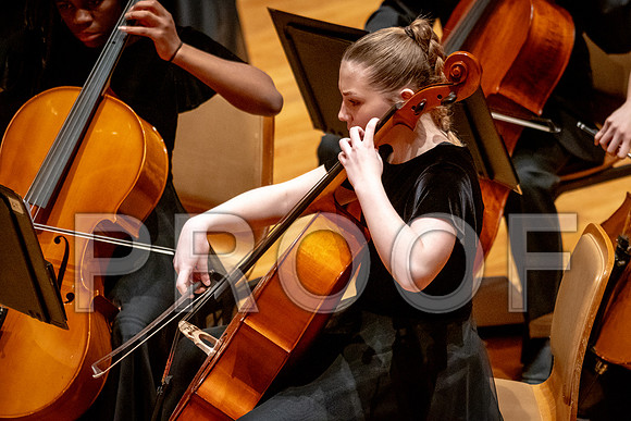 2024 University of Illinois High School Orchestra ClinicFebruary 24, 2024