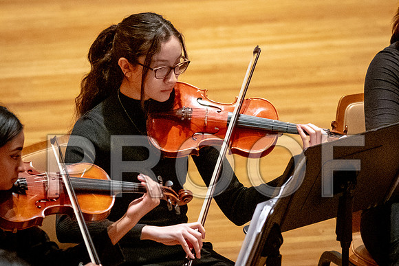 2024 University of Illinois High School Orchestra ClinicFebruary 24, 2024