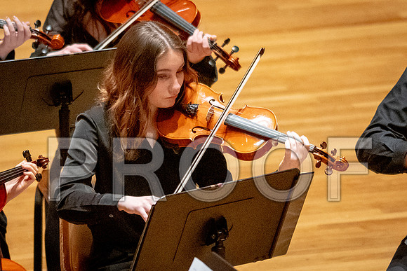 2024 University of Illinois High School Orchestra ClinicFebruary 24, 2024