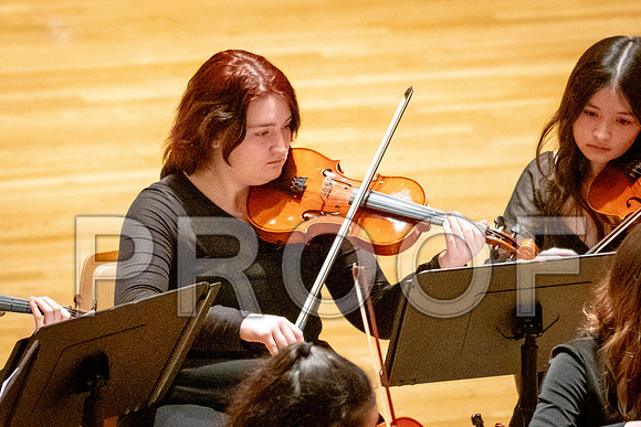 2024 University of Illinois High School Orchestra ClinicFebruary 24, 2024