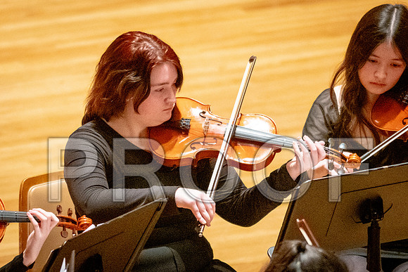 2024 University of Illinois High School Orchestra ClinicFebruary 24, 2024