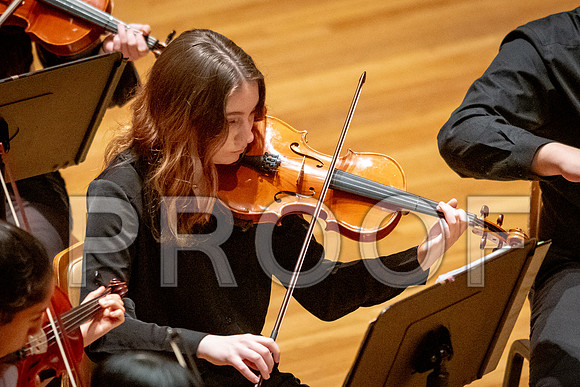 2024 University of Illinois High School Orchestra ClinicFebruary 24, 2024