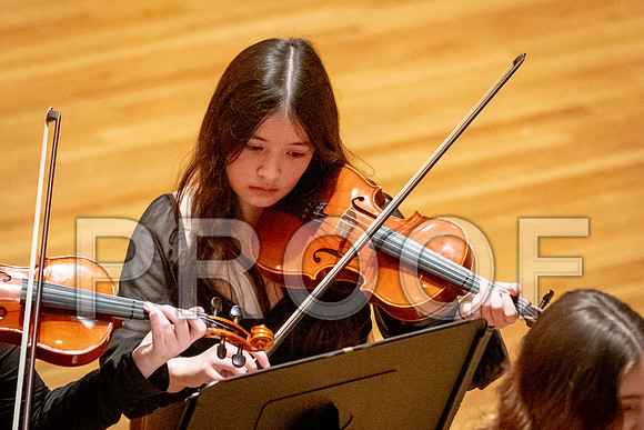 2024 University of Illinois High School Orchestra ClinicFebruary 24, 2024