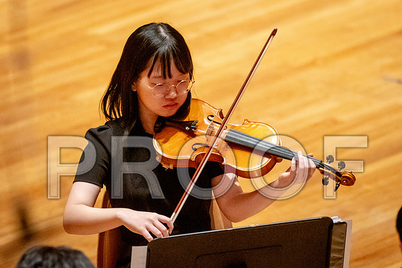 2024 University of Illinois High School Orchestra ClinicFebruary 24, 2024
