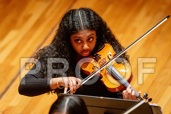 2024 University of Illinois High School Orchestra ClinicFebruary 24, 2024