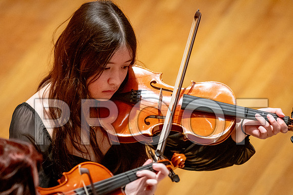 2024 University of Illinois High School Orchestra ClinicFebruary 24, 2024