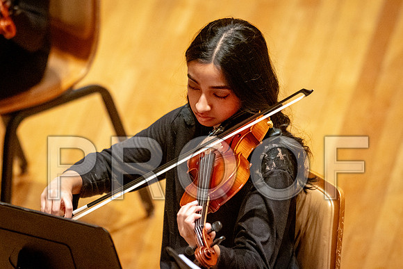 2024 University of Illinois High School Orchestra ClinicFebruary 24, 2024