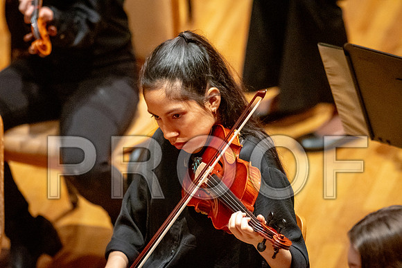 2024 University of Illinois High School Orchestra ClinicFebruary 24, 2024