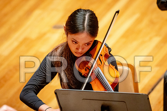 2024 University of Illinois High School Orchestra ClinicFebruary 24, 2024