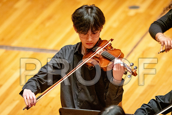 2024 University of Illinois High School Orchestra ClinicFebruary 24, 2024