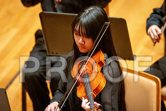 2024 University of Illinois High School Orchestra ClinicFebruary 24, 2024