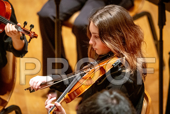 2024 University of Illinois High School Orchestra ClinicFebruary 24, 2024