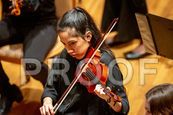 2024 University of Illinois High School Orchestra ClinicFebruary 24, 2024