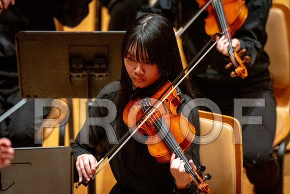 2024 University of Illinois High School Orchestra ClinicFebruary 24, 2024