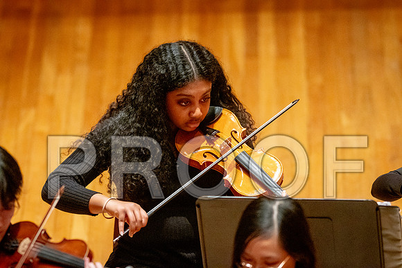 2024 University of Illinois High School Orchestra ClinicFebruary 24, 2024