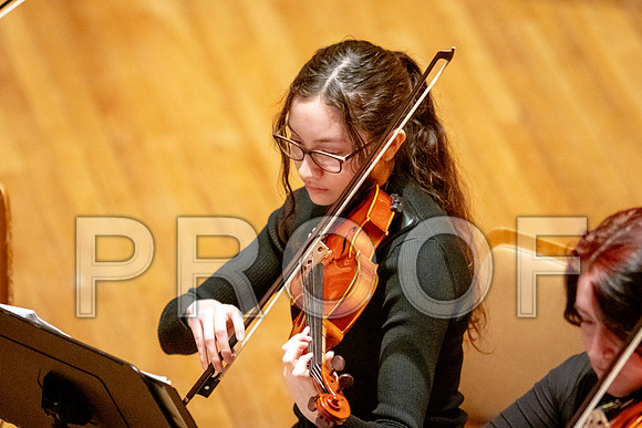 2024 University of Illinois High School Orchestra ClinicFebruary 24, 2024