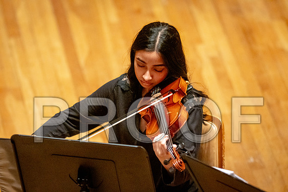 2024 University of Illinois High School Orchestra ClinicFebruary 24, 2024
