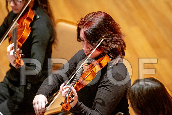 2024 University of Illinois High School Orchestra ClinicFebruary 24, 2024