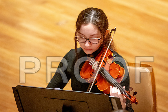 2024 University of Illinois High School Orchestra ClinicFebruary 24, 2024