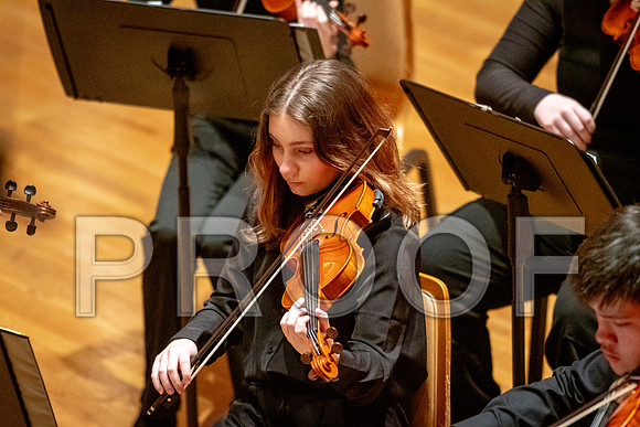 2024 University of Illinois High School Orchestra ClinicFebruary 24, 2024