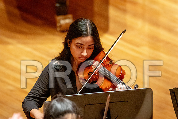 2024 University of Illinois High School Orchestra ClinicFebruary 24, 2024