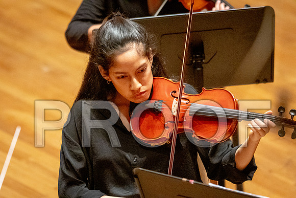 2024 University of Illinois High School Orchestra ClinicFebruary 24, 2024