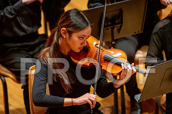 2024 University of Illinois High School Orchestra ClinicFebruary 24, 2024