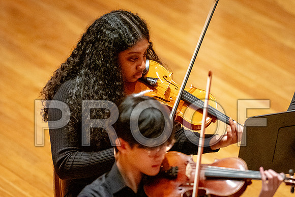 2024 University of Illinois High School Orchestra ClinicFebruary 24, 2024