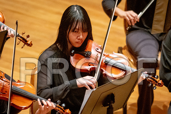 2024 University of Illinois High School Orchestra ClinicFebruary 24, 2024