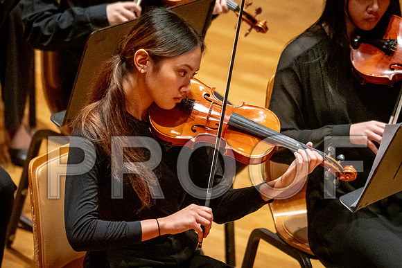 2024 University of Illinois High School Orchestra ClinicFebruary 24, 2024