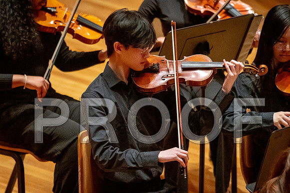 2024 University of Illinois High School Orchestra ClinicFebruary 24, 2024