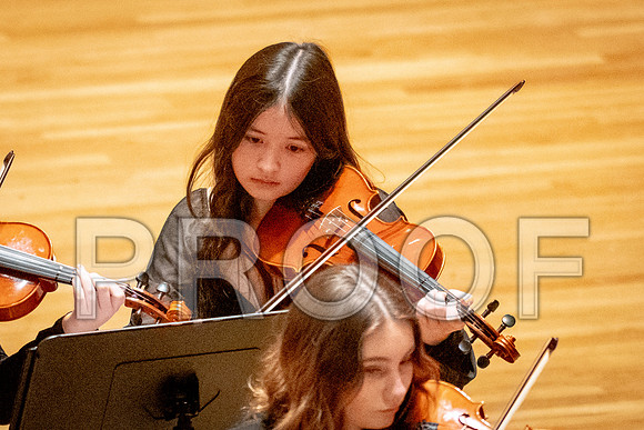 2024 University of Illinois High School Orchestra ClinicFebruary 24, 2024
