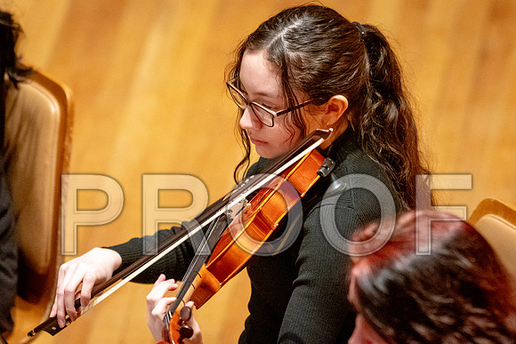 2024 University of Illinois High School Orchestra ClinicFebruary 24, 2024