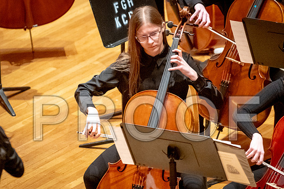 2024 University of Illinois High School Orchestra ClinicFebruary 24, 2024